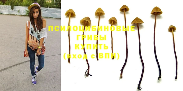 героин Алзамай