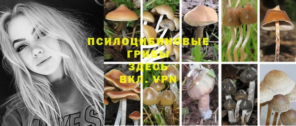 прущие крисы Алексин