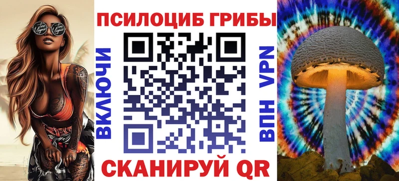 наркота  Славск  Псилоцибиновые грибы ЛСД 