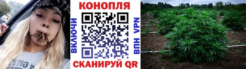 это как зайти  Славск  Марихуана семена 